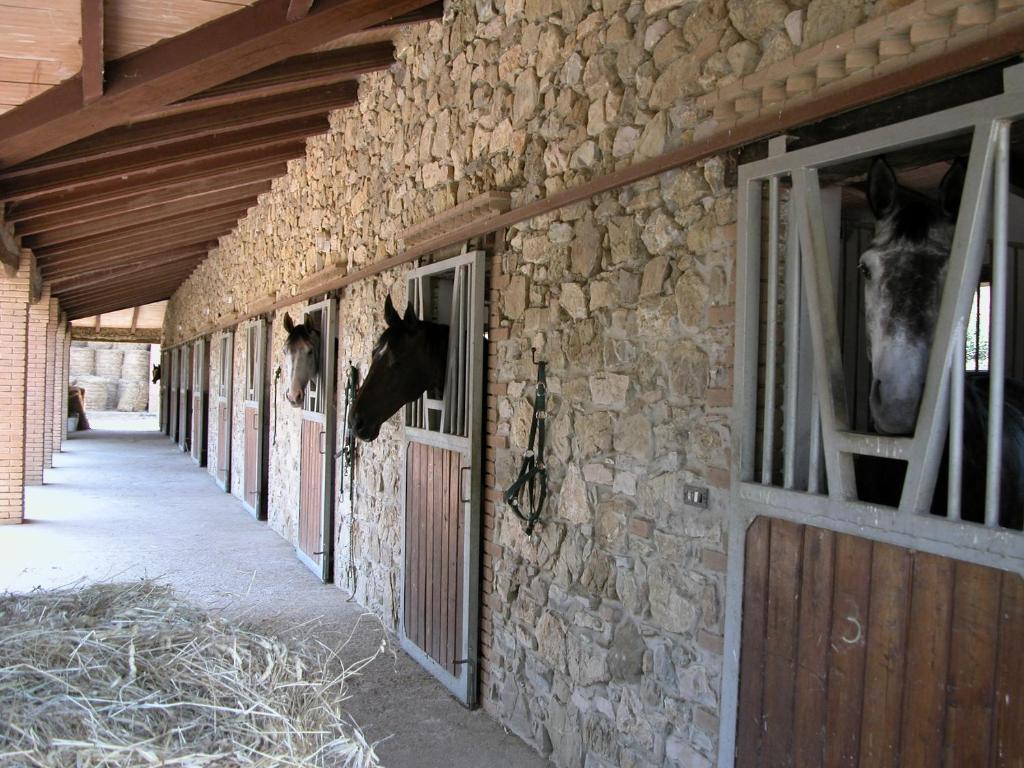 Agriturismo La Fontanella & Glamping Suvereto Exterior photo